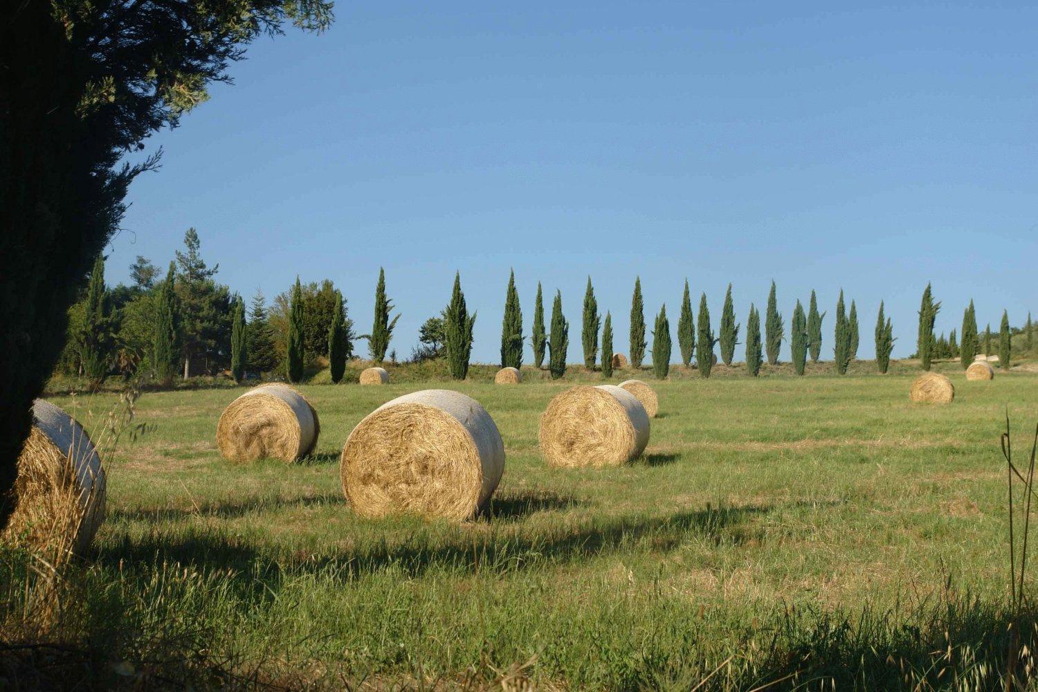 Tenuta Il Tresto Poggibonsi Esterno foto