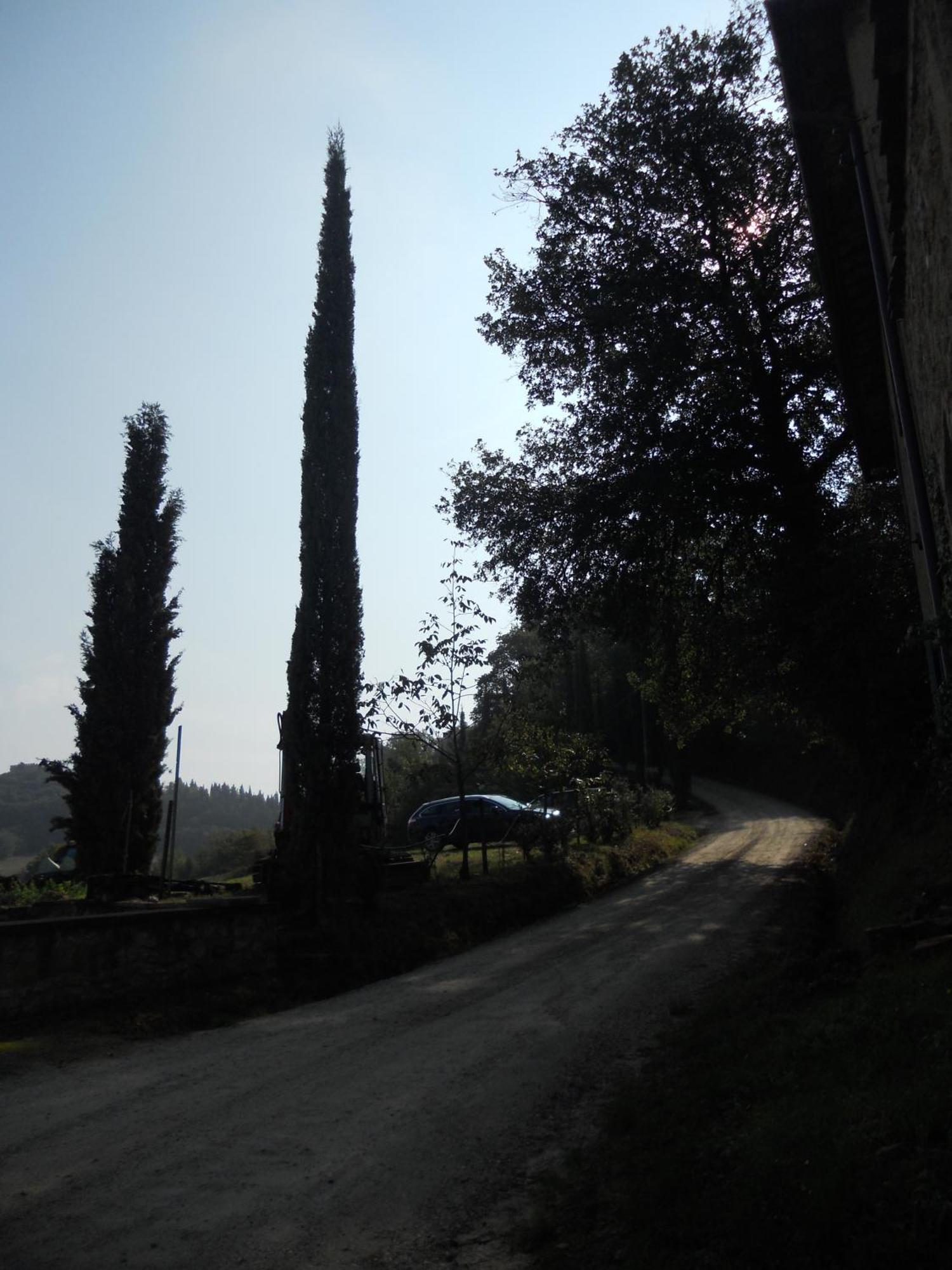 Tenuta Il Tresto Poggibonsi Esterno foto