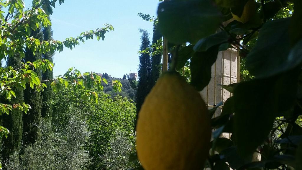 Tenuta Il Tresto Poggibonsi Esterno foto