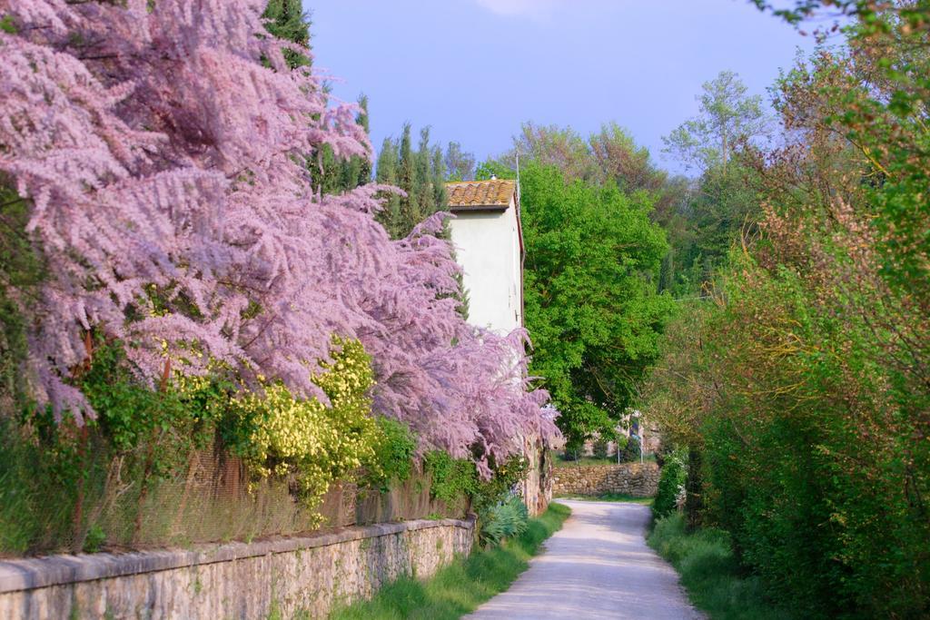 Tenuta Il Tresto Poggibonsi Esterno foto