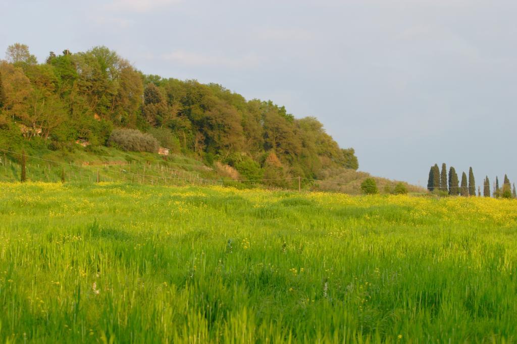 Tenuta Il Tresto Poggibonsi Esterno foto
