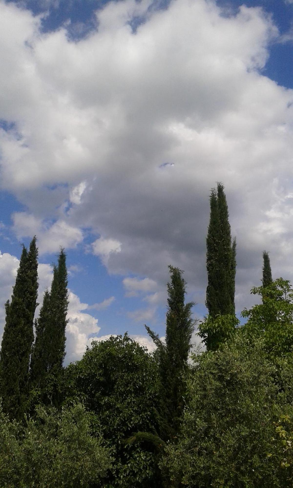 Tenuta Il Tresto Poggibonsi Esterno foto